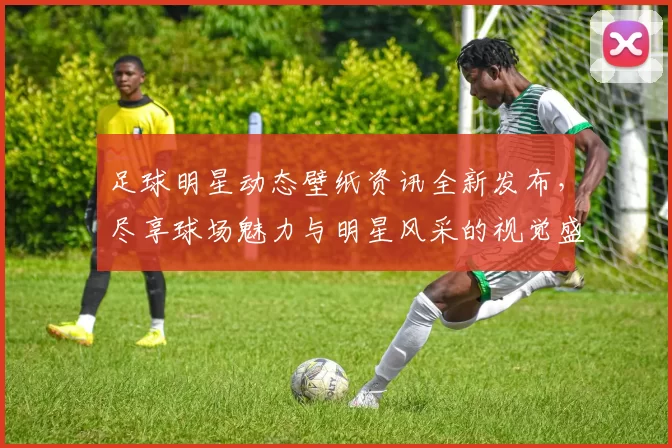 足球明星动态壁纸资讯全新发布，尽享球场魅力与明星风采的视觉盛宴