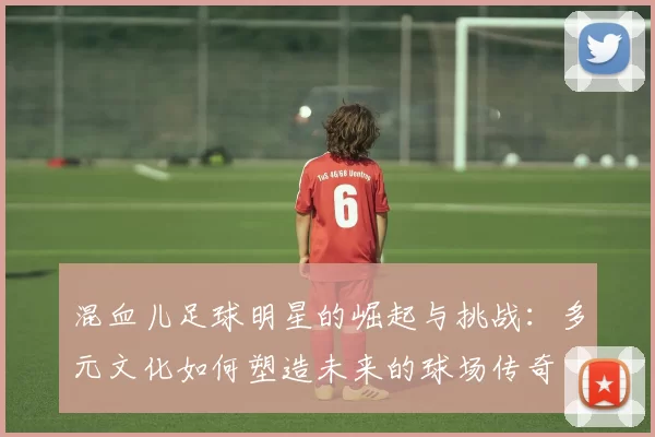 混血儿足球明星的崛起与挑战：多元文化如何塑造未来的球场传奇