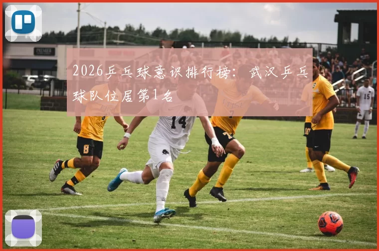 2026乒乓球意识排行榜：武汉乒乓球队位居第1名