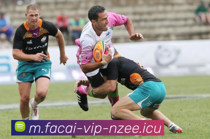 MK体育APP 封面图